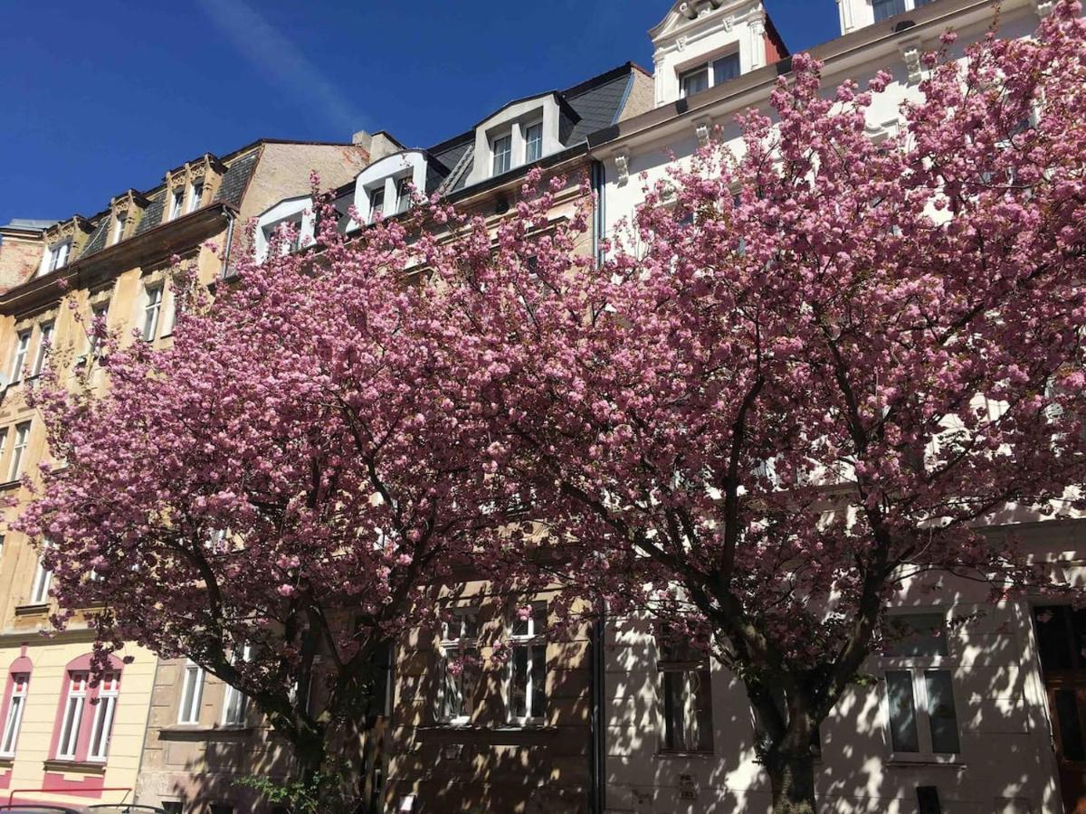 Apartmány Jízdárenská Karlovy Vary Exteriér fotografie